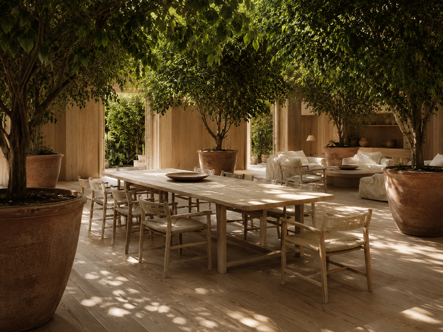 Silva Verde — Sottobosco, the understorey; dappled daylight, no fixture